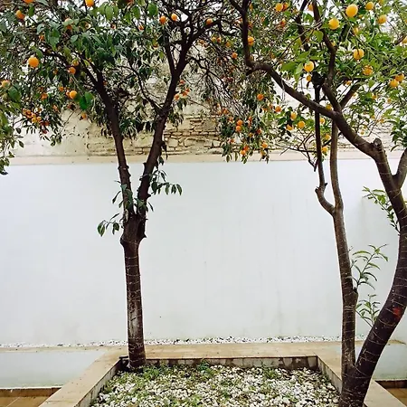 Sherryflat Jerez Centro Apartment